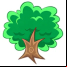 1Tree Pro