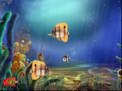 Aquarium Screensaver screenshot 1