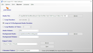 Audio Looper screenshot 1