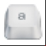 Auto Key Presser