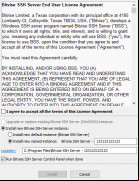 Bitvise SSH Server screenshot 2