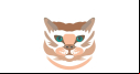 CleverCat