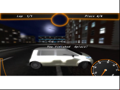 Crazy Taxi Racers - finish-race