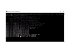 cudaMiner - mining-process