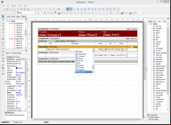FastReport.Net screenshot 1