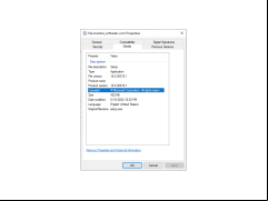 File Transfer - details