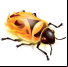FireBug