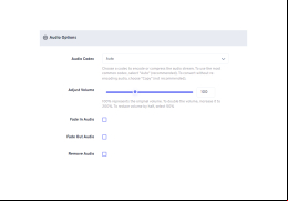 Free 3GP Converter - audio-options