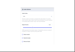 Free WebM to MP4 Converter - audio-options