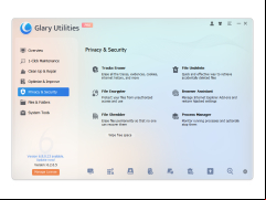 Glary Utilities Pro - privacy-and-security