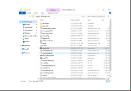 madVR - main-files