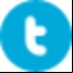 MetroTwit
