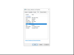 MKV Player - details