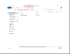NetVideoHunter - chrome