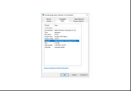 OneSafe JPEG Repair - details