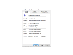 Pinger Desktop 2.0 - properties