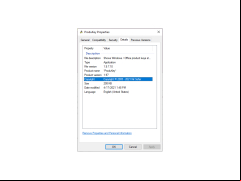 Portable ProduKey - details