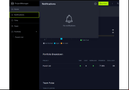 Project Manager - notifications