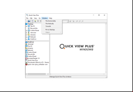 Quick View Plus - window