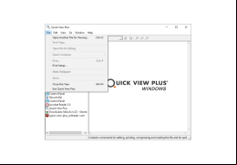 Quick View Plus - file-menu