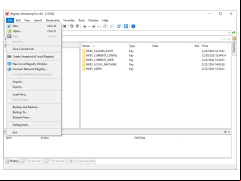 Registry Workshop - file