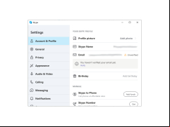 Skype Portable - settings