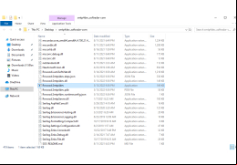 smtp4dev - main-file