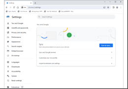 SRWare Iron - settings