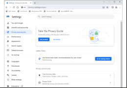 SRWare Iron - privacy-settings