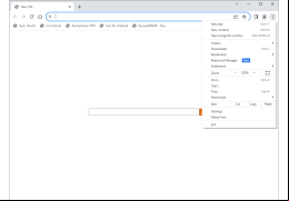 SRWare Iron - menu-options
