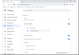 SRWare Iron - appearance-settings