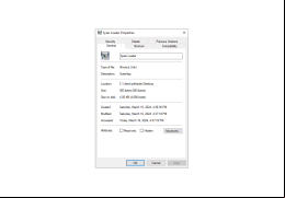 Syser Kernel Debugger - properties