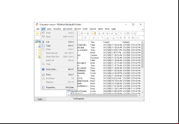 WinOrganizer - edit-menu