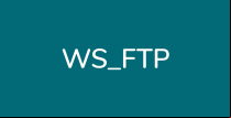 WS_FTP Server logo